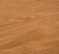 One of the last sand dunes in the neighborhood of the city of Holon in Israel