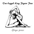 One-Legged King Pigeon of yoga pose illustration