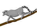 One lemur climbs a tree branch. Simple style flat cartoon vector illustration. Cute african walking animal isolated on a