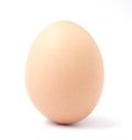 One light brown chicken egg. Royalty Free Stock Photo