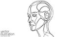 One line AI cyborg woman face. Smart assistant artificial intelligent computer future technology. Isolated one-line Royalty Free Stock Photo