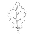 One Line art autumn Oak leaf. Simple continuous editable contour.