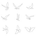 One line bird set. Birds collection. Hand drawn vector illustration