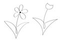 One line chamomile camomile daisy wheel tulip flower silhouette icon set. Hand drawn line art drawing. Floral design. Minimalism.