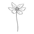 Flower icon. Black line hand drawn floral element isolated on white. One line contour floral drawing. Vector illustration Royalty Free Stock Photo