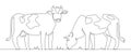 One line cows. Milk cow animal, livestock and beef meat and calf farm continuous line artwork vector concept