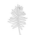 One line drawing areca palm leaf. Continuous line exotic tropical plant.