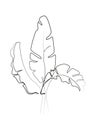 One line drawing. Contour drawing of Banana leaves Royalty Free Stock Photo