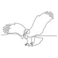 one line drawing eagle bird flying continuous vector illustration minimalism design Royalty Free Stock Photo