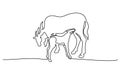 One line drawing. Horse feeds small foal