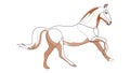 One line drawing Running Horse. Single line horse print, poster logo template. Minimal art style vector.