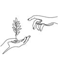 One line drawing of sprout in hand. Seedlings grow in the hands of trees. Environment Earth Day single line vector art. Concept of