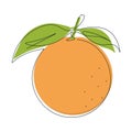 Continuous single line drawing of citrus fruit with orange color