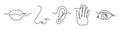 One line five human senses. Mouth to feel taste, nose to smell and ear to hearing. Hand to touch and eye to vision. Hand