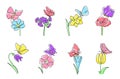 One line flowers with butterflies. Daffodil and tulip with butterfly on top, blooming flower and minimalistic spring