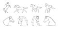 One line horses. Minimalism horse portrait and silhouette, stable animals single continuous line vector illustration set Royalty Free Stock Photo