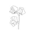 One line orchid flower logo. Simple floral drawing minimalist botanical art vector continuous line illustration