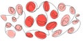One line red blood cells in doodles style on white screen.