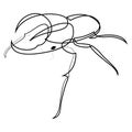 One line rhino beetle design silhouette. Hand drawn minimalism style vector illustration