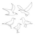 One line seagull hand drawn set. Hand drawn minimalism style vector illustration. Outline seagull flying