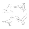 One line seagull hand drawn set. Outline seagull flying. Beautiful sea life design elements