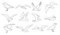 One line seagulls. Flying seabird, nautical bird and beach animal continuous line vector illustration set