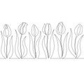 One line seamless border with spring tulip flowers.