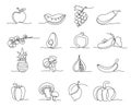 One line vegetables and fruits. Hand drawn groceries, healthy and natural vegan food continuous line vector Illustration set Royalty Free Stock Photo