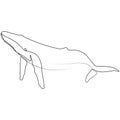 One line whale design silhouette. Hand drawn minimalism style vector illustration