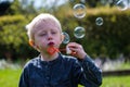 One Little boy blows soap bubbles in the garden on a summer day Royalty Free Stock Photo