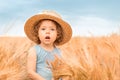 One little cute girl in a straw hat and a blue dress among a golden wheat field Royalty Free Stock Photo