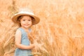 One little cute girl in a straw hat and a blue dress among a golden wheat field Royalty Free Stock Photo