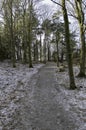 One little frozen road in the forrest Royalty Free Stock Photo