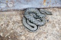 The one little snake in the yard Royalty Free Stock Photo