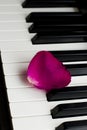 One lone rose petal of pink scarlet lies on black and white piano keys. romantic music, lightness and romance of relaxation and Royalty Free Stock Photo