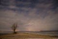 One lone tree on the lake shore at night with starry skies and clouds. Access road to the lake. One abandoned boat frozen in Royalty Free Stock Photo