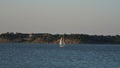 One lone white sailboat on the Grapevine lake in Texas