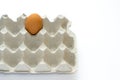 One lonely egg in gray carton egg tray isolated on white background. Last chance to eat. Assortment of food in single man fridge Royalty Free Stock Photo