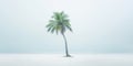 One lonely palm tree on a white beach. Calm sae with mist. Tranquil seashore landcsape. Generative AI