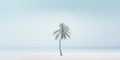 One lonely palm tree on a white beach. Calm sae with mist. Tranquil seashore landcsape. Generative AI