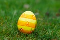 One lonely easter egg in the garden Royalty Free Stock Photo