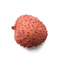 One lychee fruit on a white background Royalty Free Stock Photo