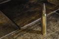 One Magnum Centerfire Cartridge Royalty Free Stock Photo