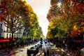 One of the main streets of central Paris in the autumn