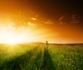 One man and field of summer grass Royalty Free Stock Photo