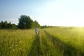 One man and field of summer grass Royalty Free Stock Photo