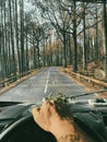 One man pov or his hands driving a vehicle on a long scenic trees asphalt road. Traveling and driving camper van truck. Freedom Royalty Free Stock Photo