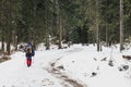 One man walks through the winter snow forest