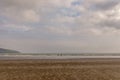 One man and a woman walking on sandy beach with a dog. Family enjoying the day. Kilbrittain, Killbrittain beach, Ireland