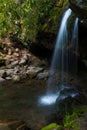 Grotto falls trail in the Great Smoky Mountains Royalty Free Stock Photo